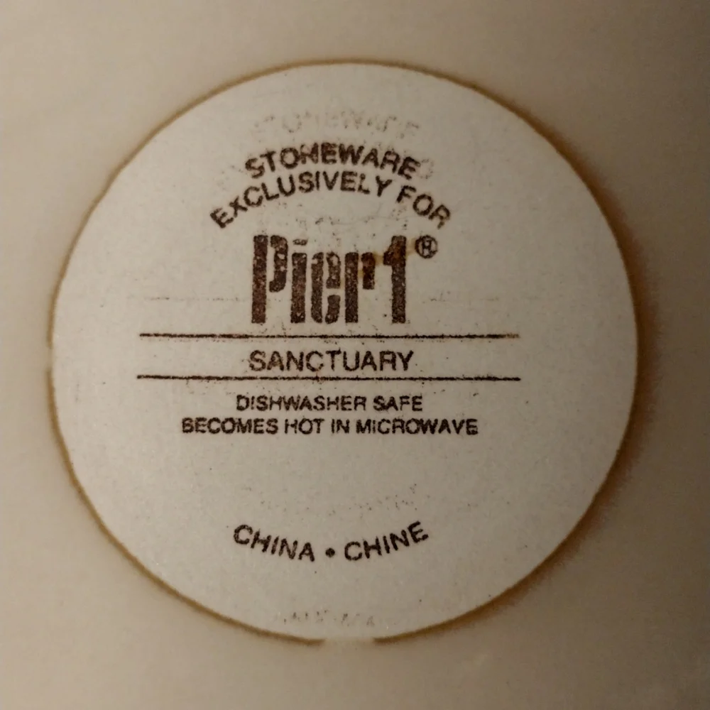 Pier 1 Sanctuary dinner plate